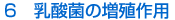 6@_ۂ̑Bp