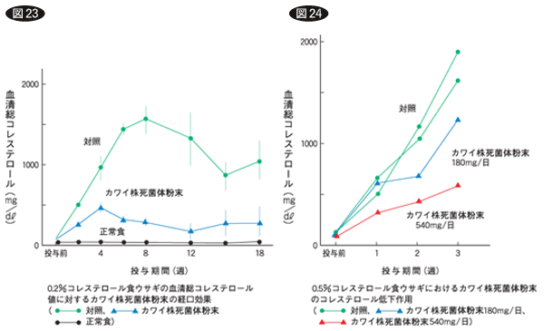 図23・24