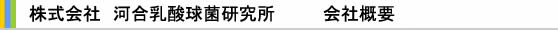 会社概要