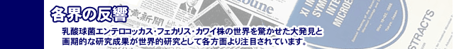 �e�E�̔���